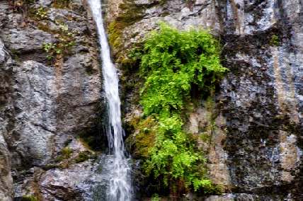 DSC_0223 (1).jpg